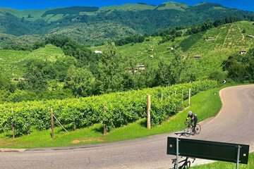 Bicycling