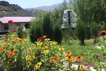 Photo 26