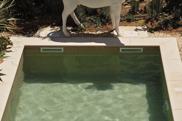 Private pool