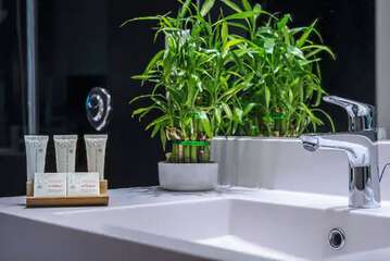 Bathroom amenities