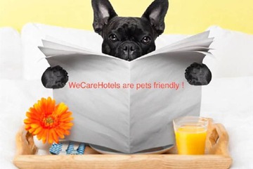 Pet-friendly
