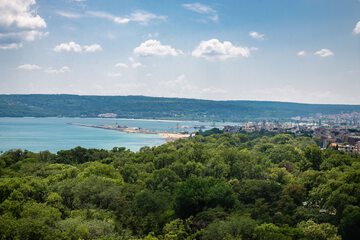 Beach/ocean view