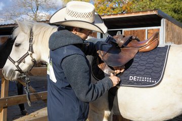 Horseback riding