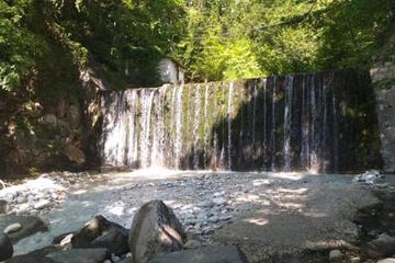 Photo 42