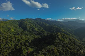 Mountain view