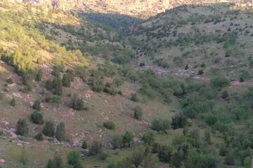 Photo 40