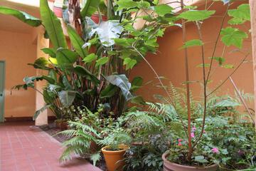 Photo 31