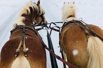 Horseback riding