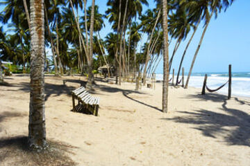 BBQ or Picnic Area