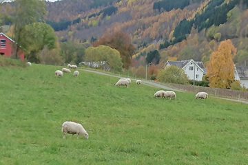 Ecotours