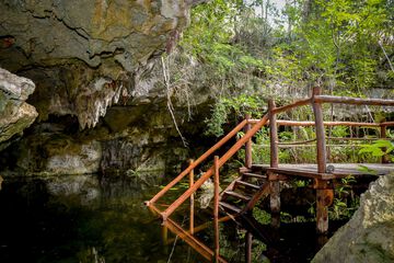 Natural pool