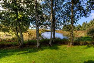 Property Grounds 16 of 17