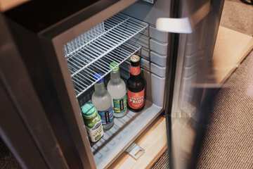 Mini-refrigerator