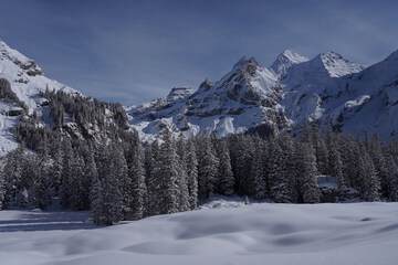 Land view from property