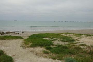 Photo 34