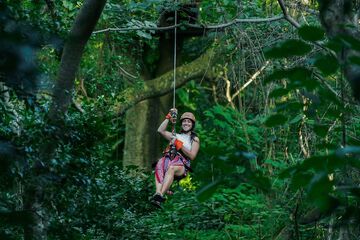 Ziplining