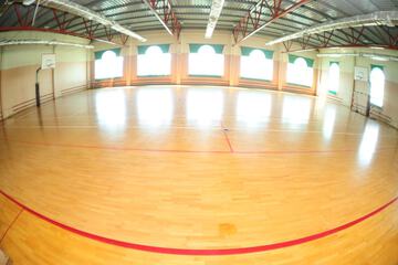 Basketball court