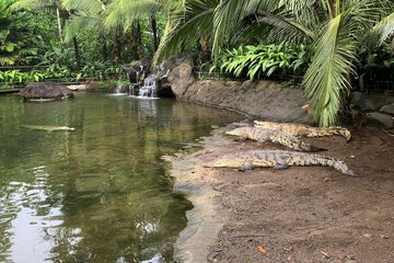 Ecotours