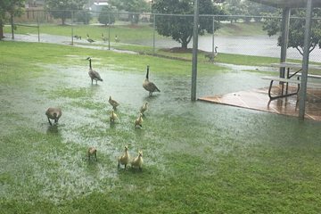 Children's activities