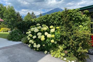 Photo 24