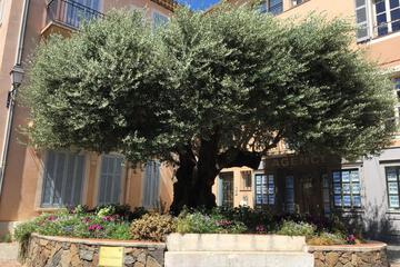 Photo 47