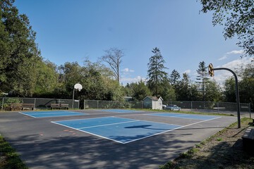 Basketball court