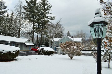 View from room