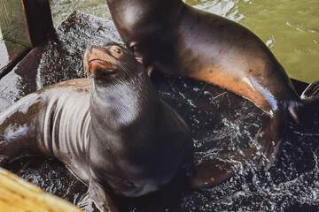 Property Grounds 159 of 159