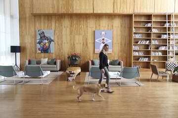Pet-friendly