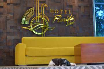Pet-friendly