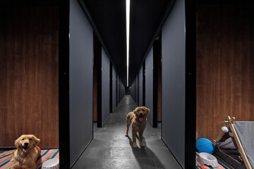 Pet-friendly amenities
