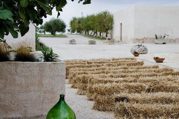 Outdoor wedding area