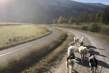 Hiking
