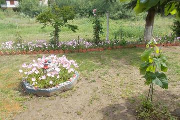 Photo 46