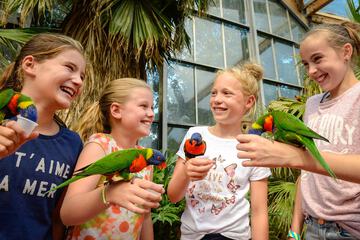 Children's activities