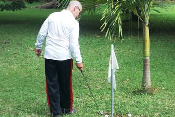 Mini-golf