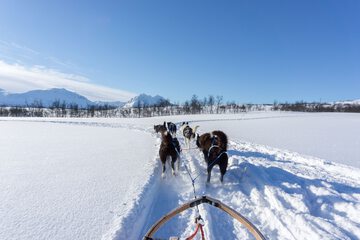 Ecotours