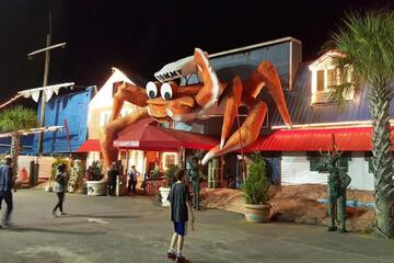 Photo 44