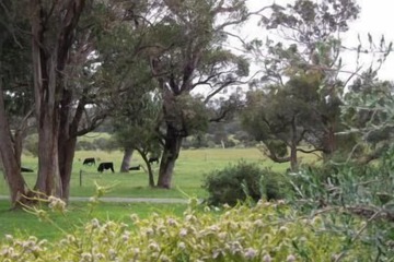 View from property