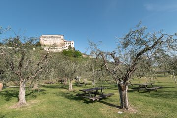 BBQ/picnic area