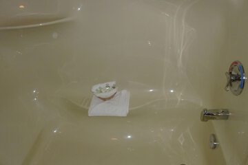 Deep soaking bathtub