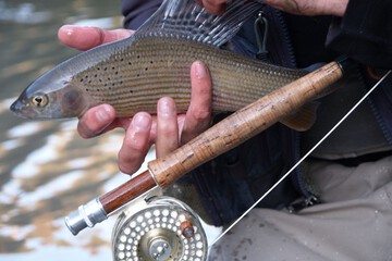 Fishing
