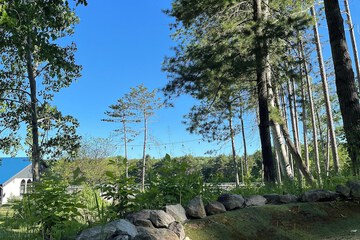 Hiking