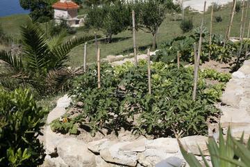 Photo 28