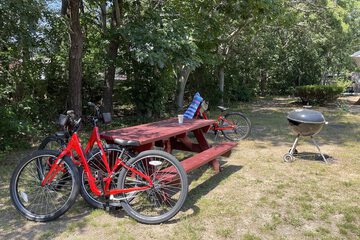 BBQ/picnic area