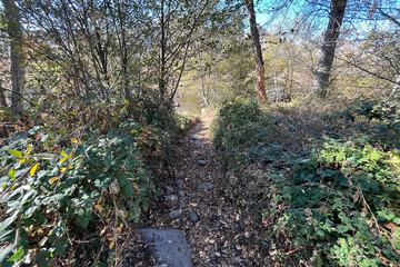 Property Grounds 86 of 92