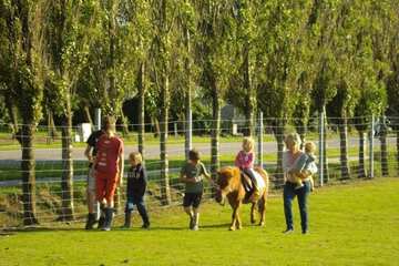 Children's activities