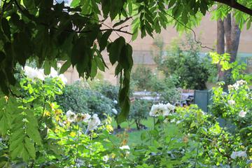 Photo 35