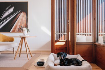 Pet-friendly