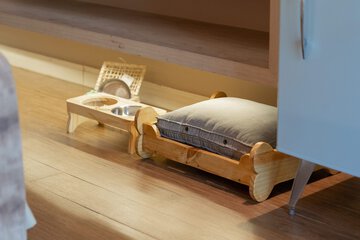 Pet-friendly amenities
